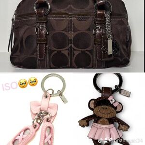 Searching for Coach!